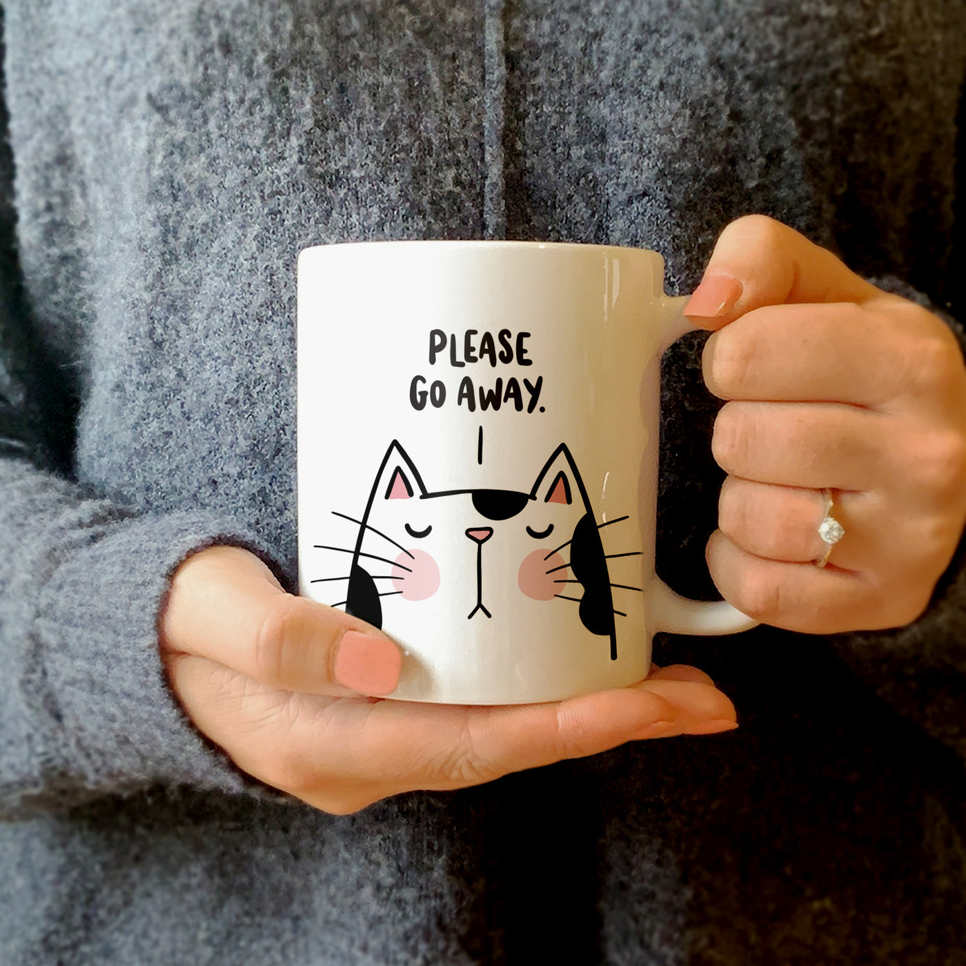 Please Go Away Sassy Cat Mug